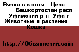 Вязка с котом › Цена ­ 1 000 - Башкортостан респ., Уфимский р-н, Уфа г. Животные и растения » Кошки   